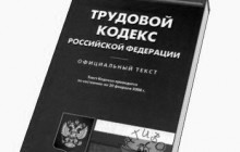 6. Rostrud Predlagaet Grazhdanam Vmeste Uluchshit Trudovoe