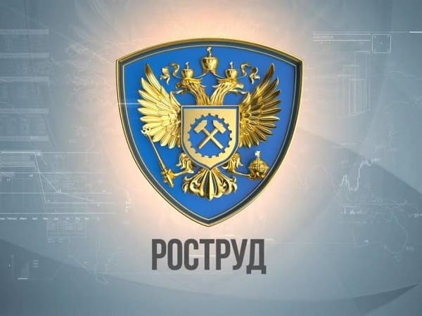 Rostrud Poyasnil Mozhno Li Zaklyuchit Trudovoj Dogovor S Relokantom